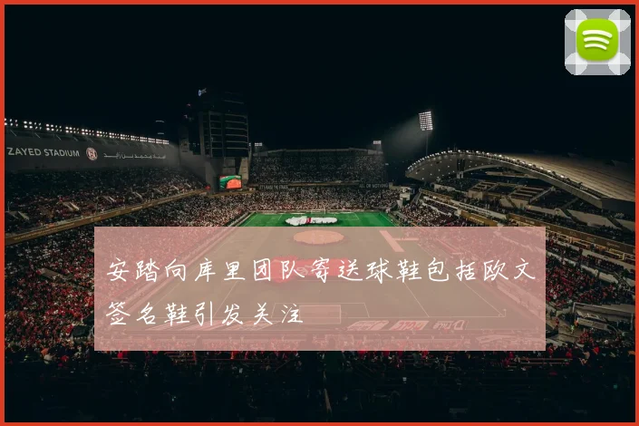 安踏向库里团队寄送球鞋包括欧文签名鞋引发关注