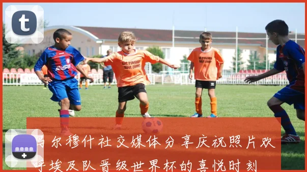 马尔穆什社交媒体分享庆祝照片欢呼埃及队晋级世界杯的喜悦时刻
