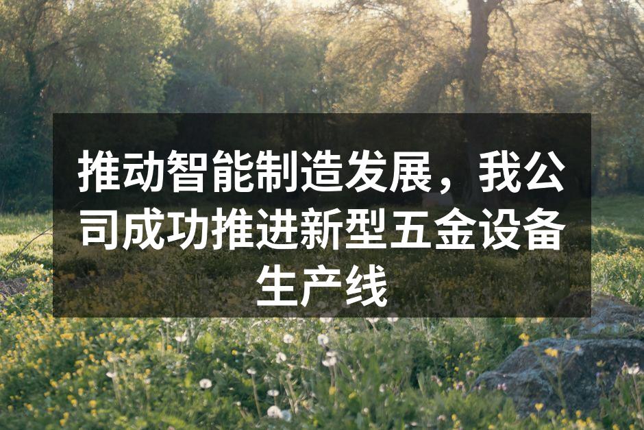 新型五金设备生产线全景图