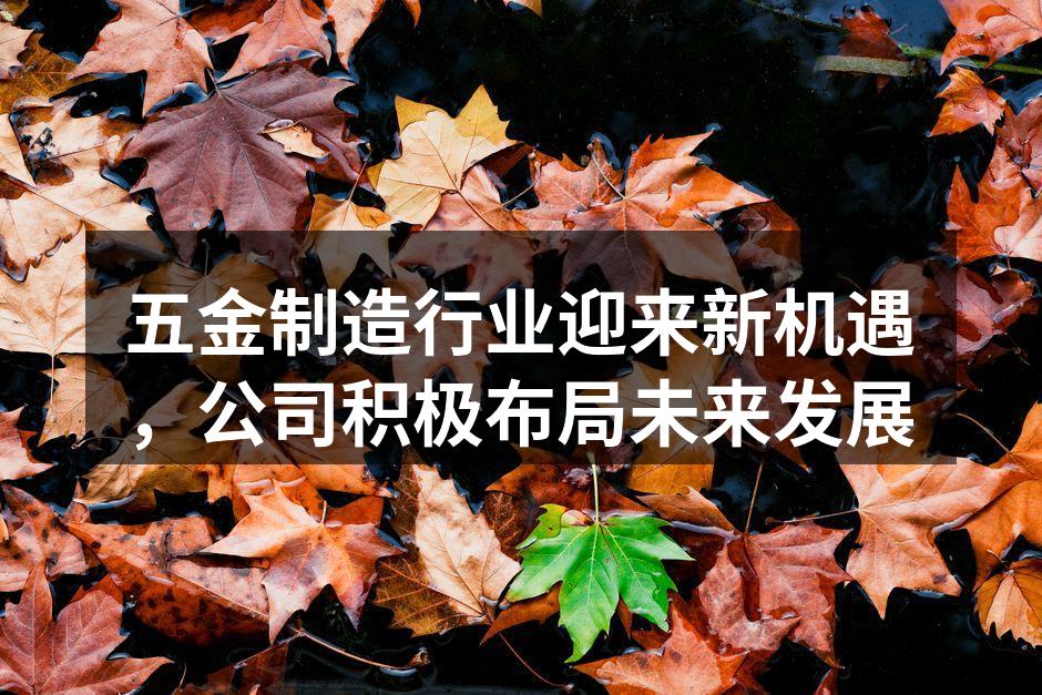 先进的自动化生产设备