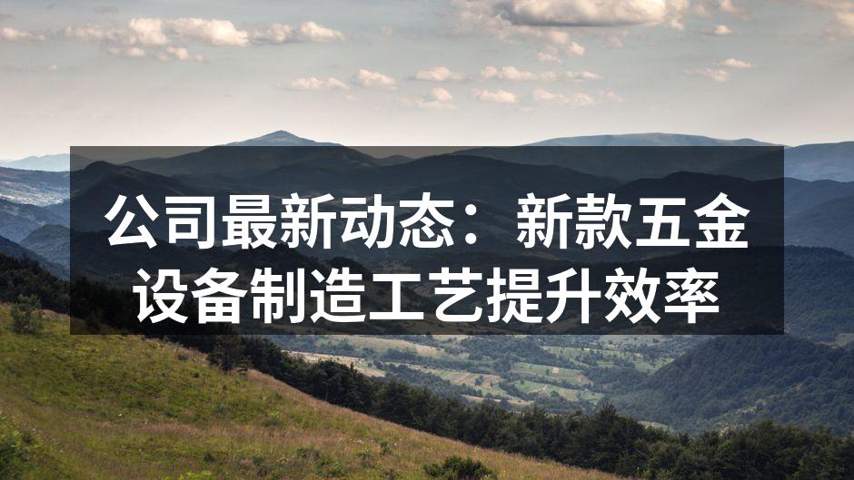 新引入的自动化生产线